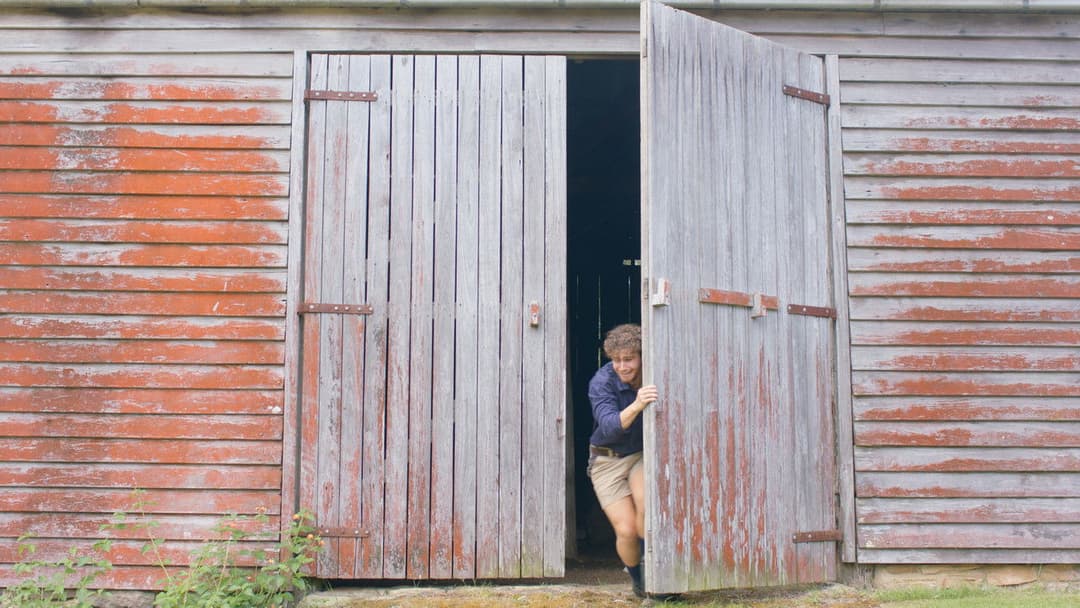 Where the Light Fades backdrop 5