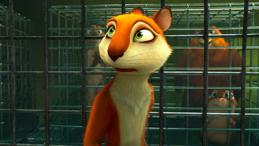 Реальна білка 2 backdrop 11