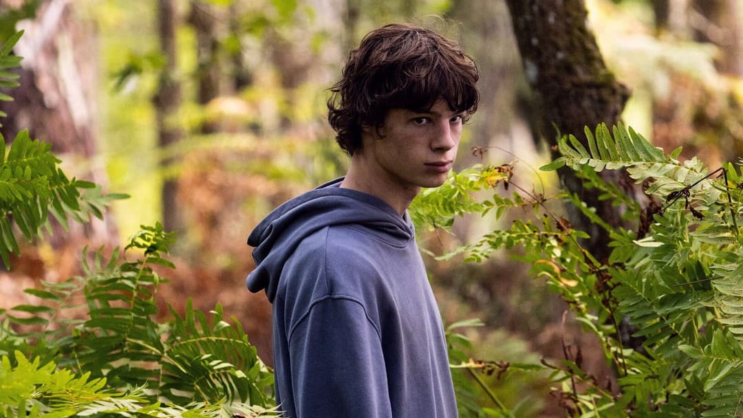 Королівство тварин backdrop 6