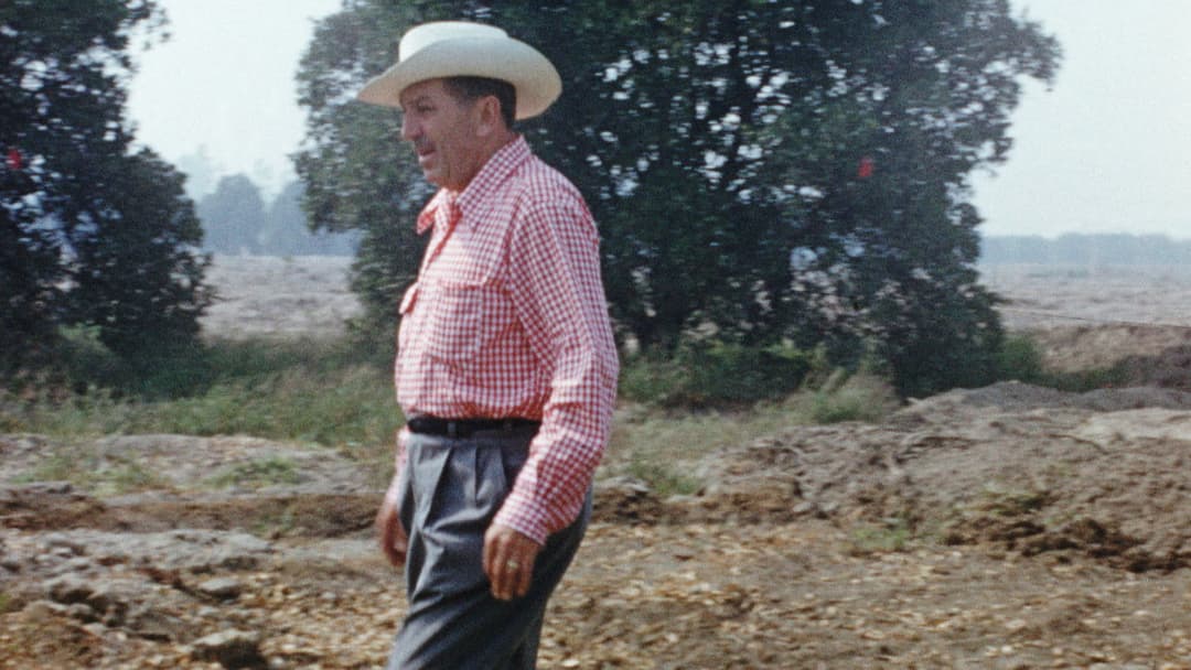 Disneyland Handcrafted backdrop 8