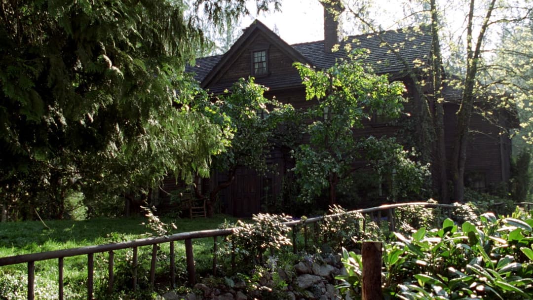 Маленькі жінки backdrop 8