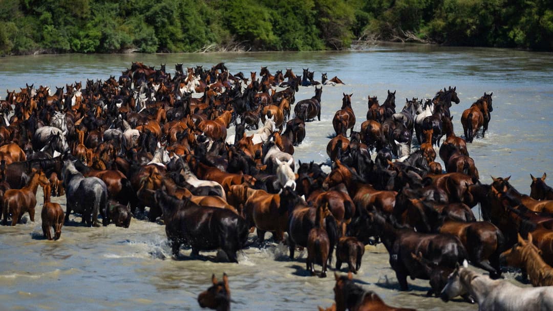 A Legend backdrop 12