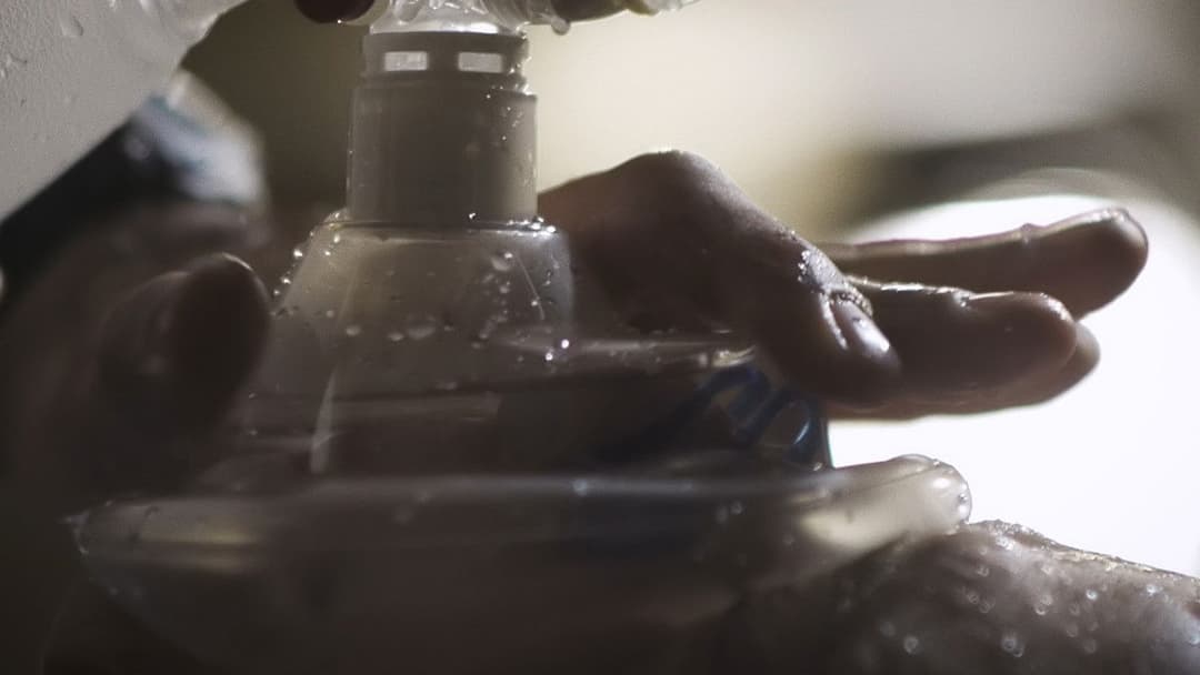 Upstream Color backdrop 3