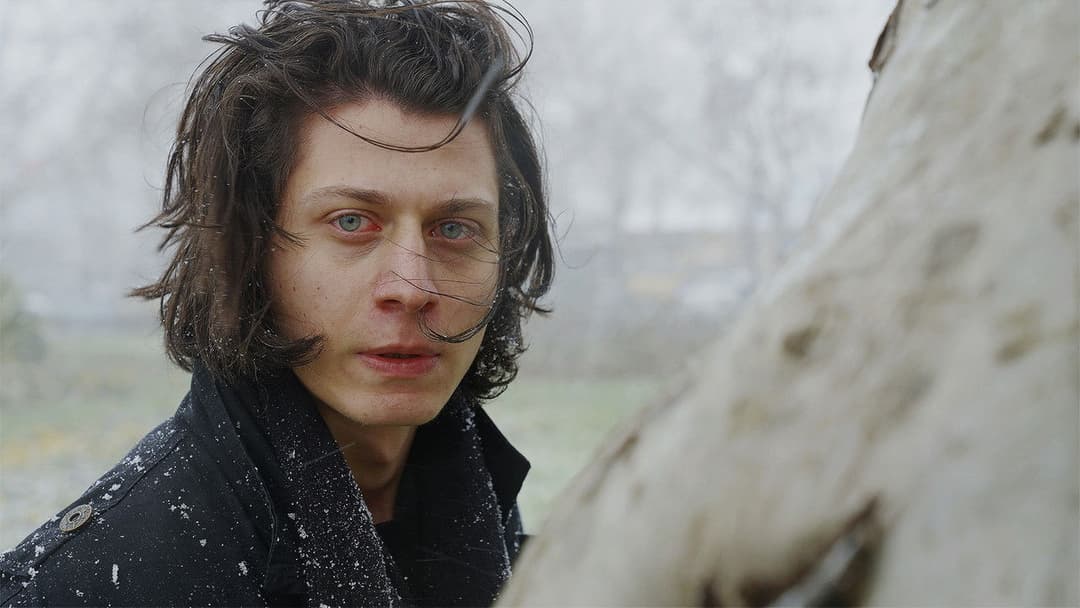 The Leaf Covered in Hoarfrost backdrop 8