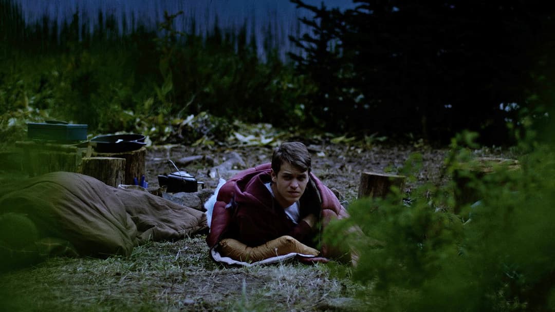 Grizzly Night backdrop 9