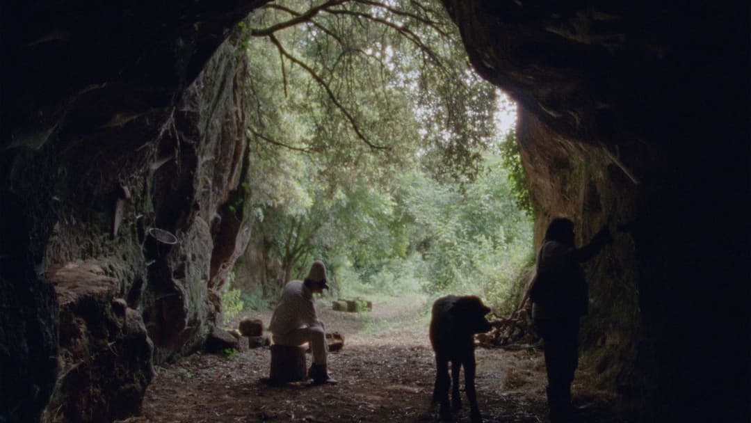 Bella e perduta backdrop 3