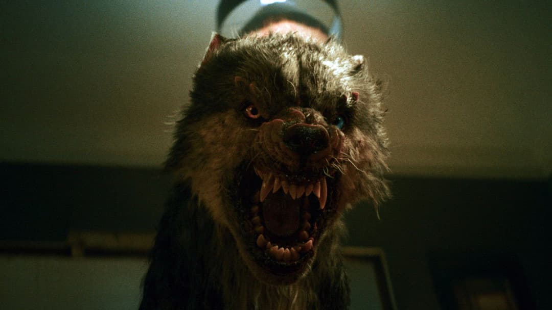 Вовк вікінгів backdrop 14