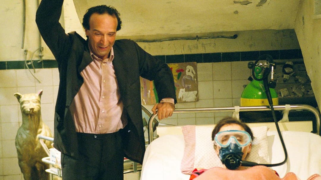 Der Tiger und der Schnee backdrop 2