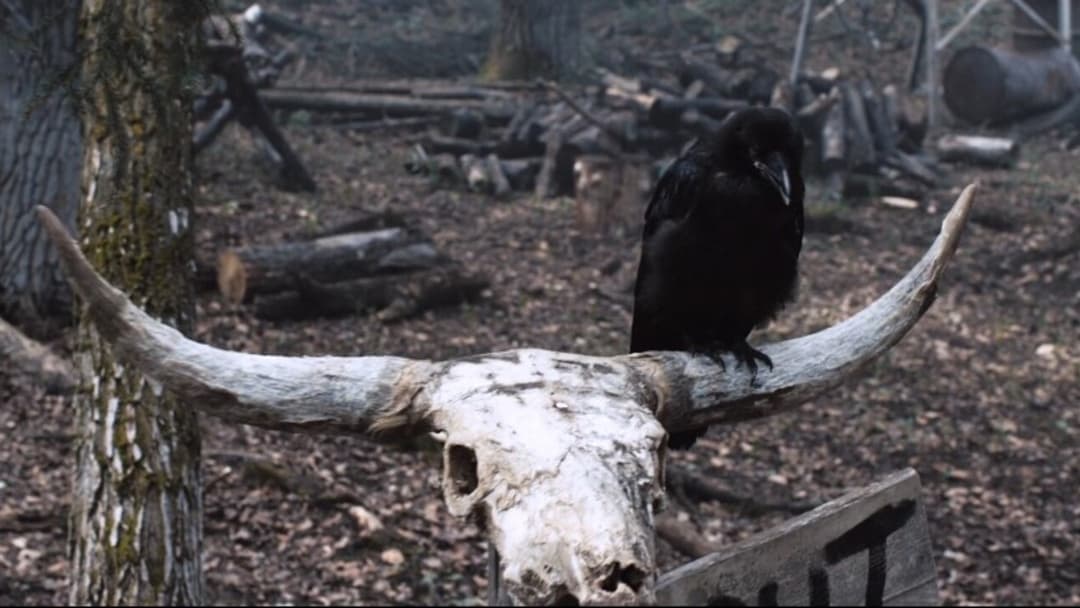 Такер і Дейл проти зла backdrop 9