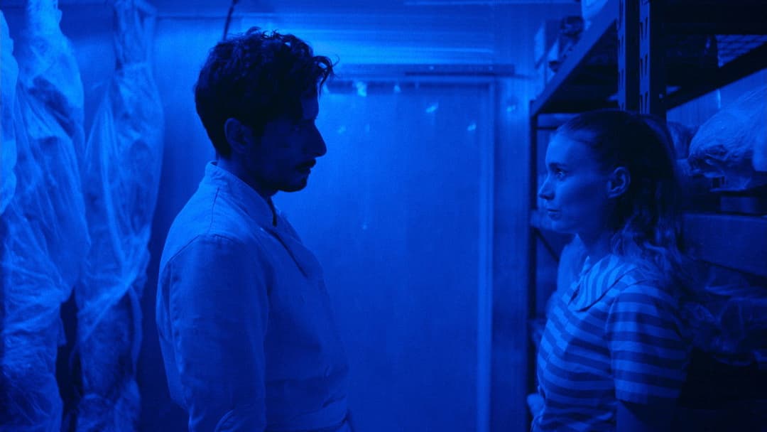 Кухня backdrop 7