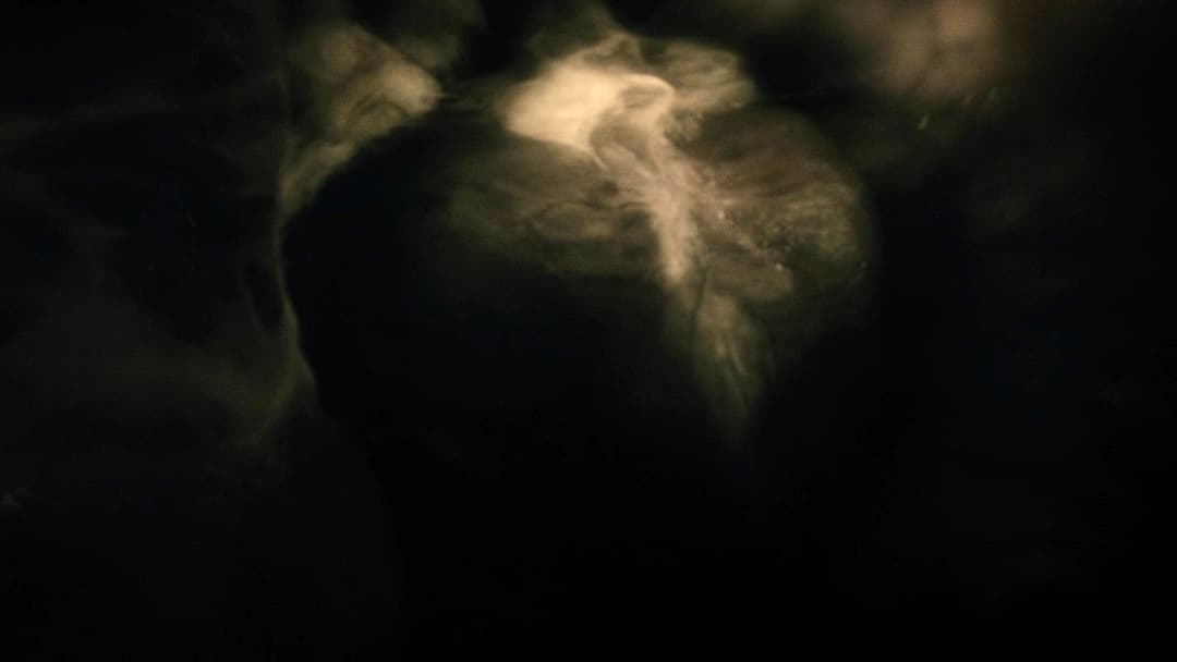 Warm Bodies - Zombies mit Herz backdrop 10