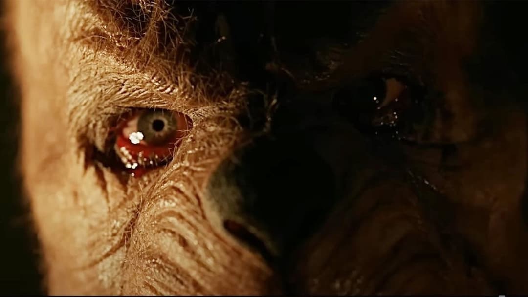 Winnie the Pooh: Blood and Honey 2 backdrop 20