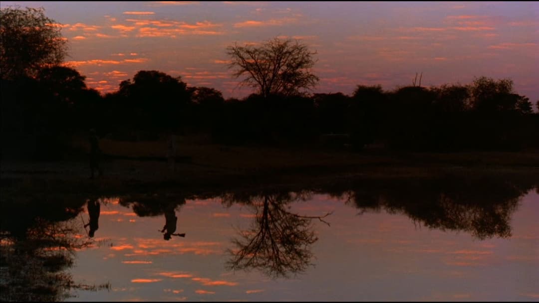 Weißer Jäger, schwarzes Herz backdrop 8