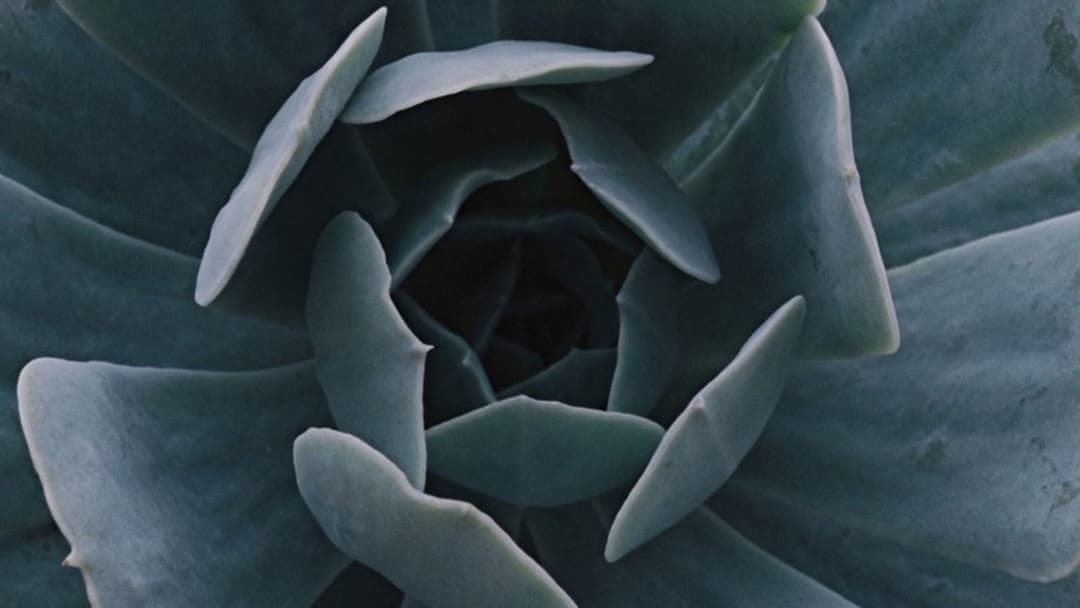 To the Wonder backdrop 12