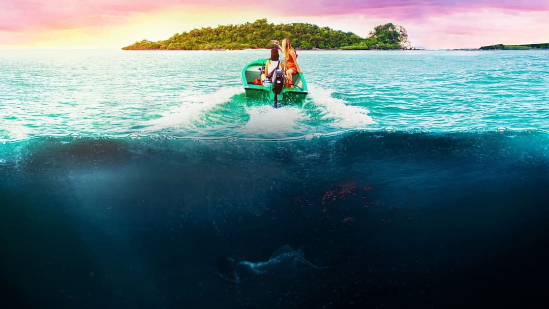 Influencer backdrop 3