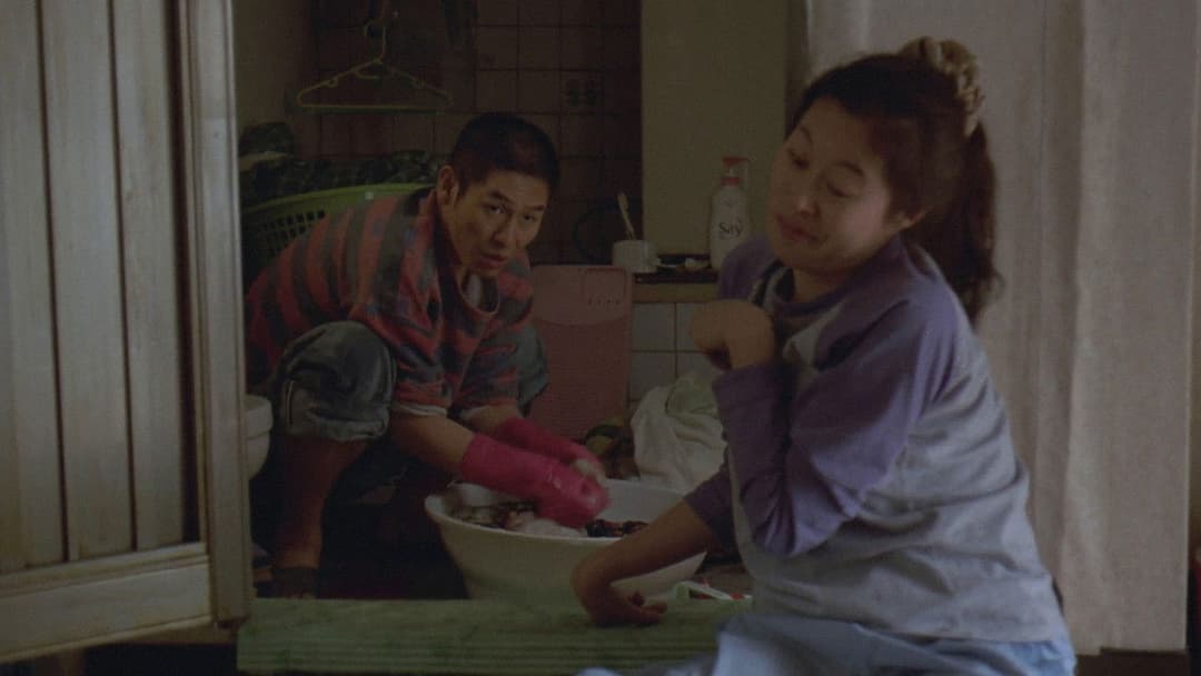 오아시스 backdrop 4