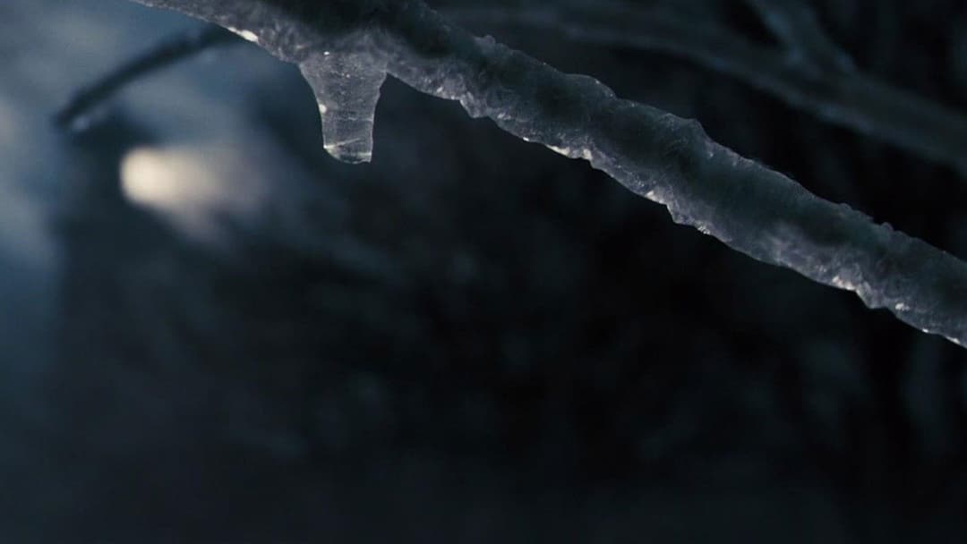 In meinem Himmel backdrop 19