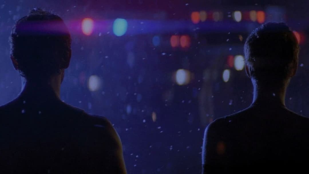 Колекціонер 2 backdrop 9