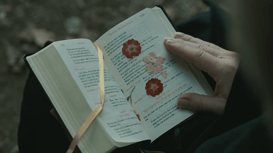 Сумнів backdrop 19