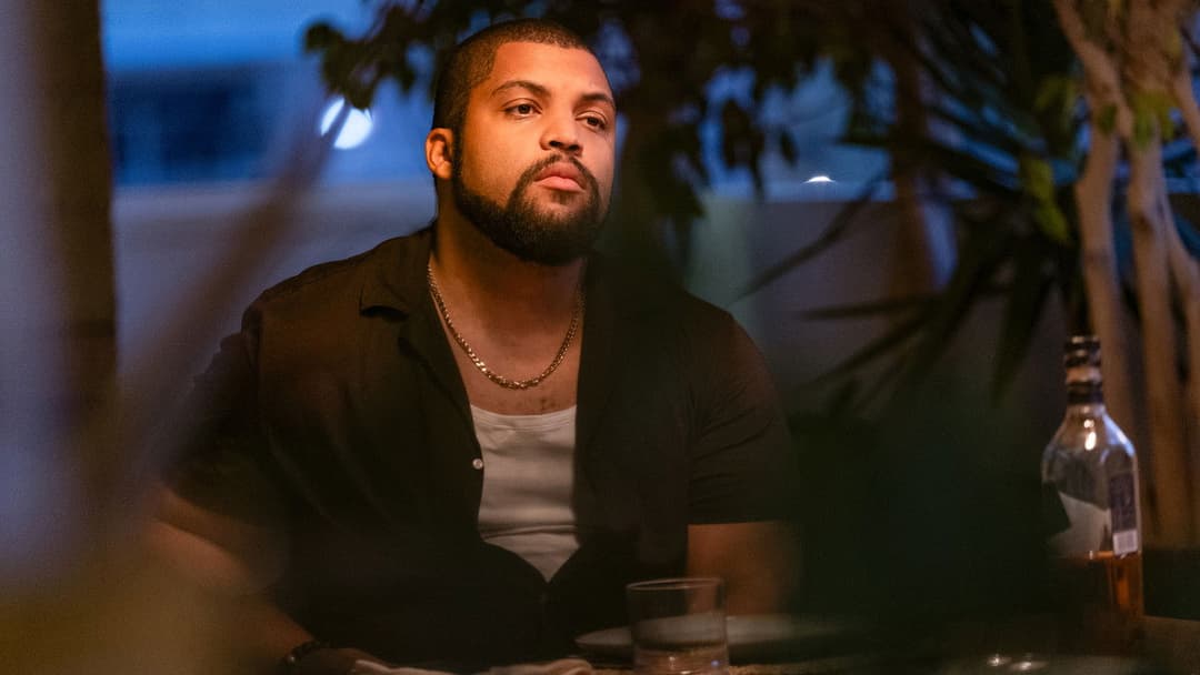 Злодії 2: Пантера backdrop 15