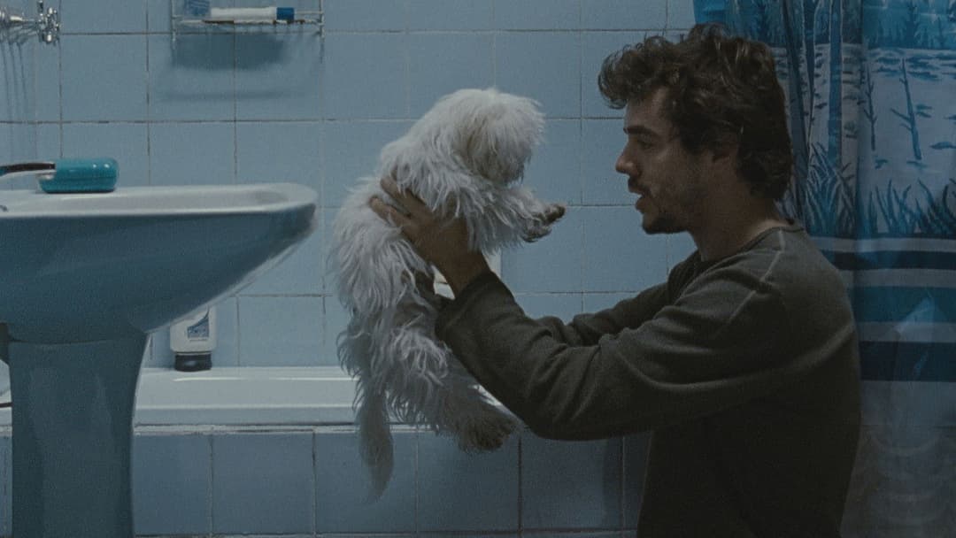 Medianeras backdrop 19