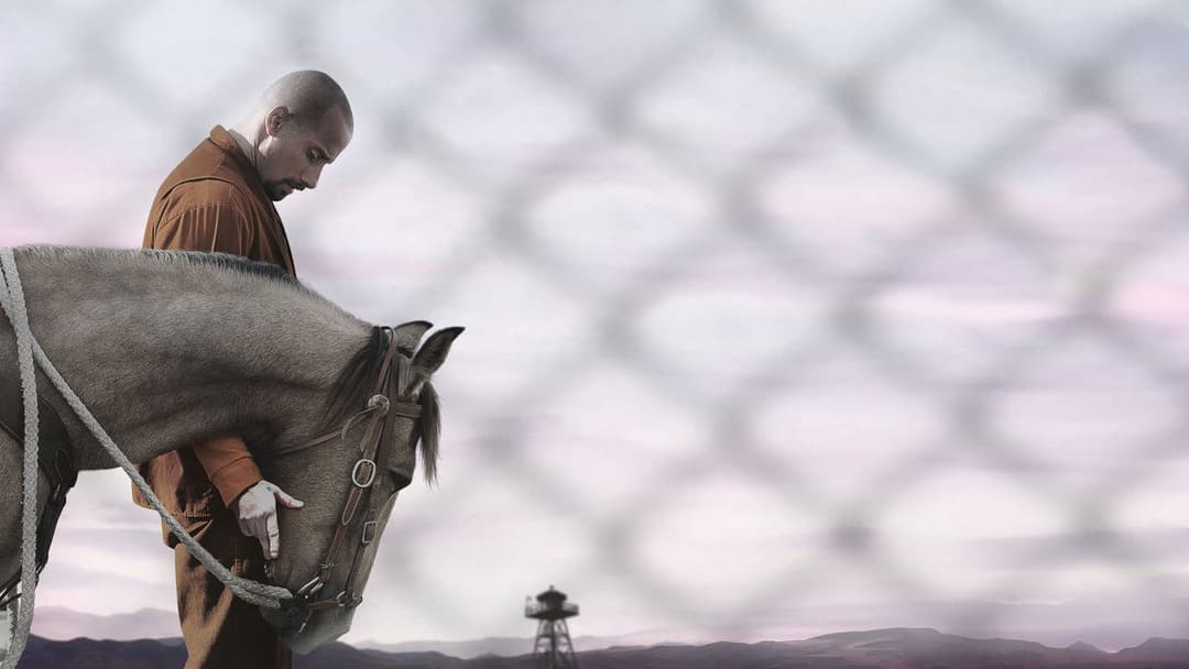 Мустанг backdrop 10