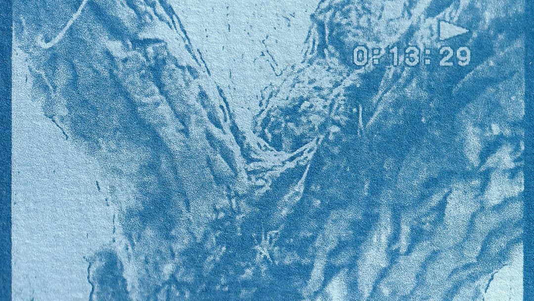 Farewell, My Tree backdrop 1