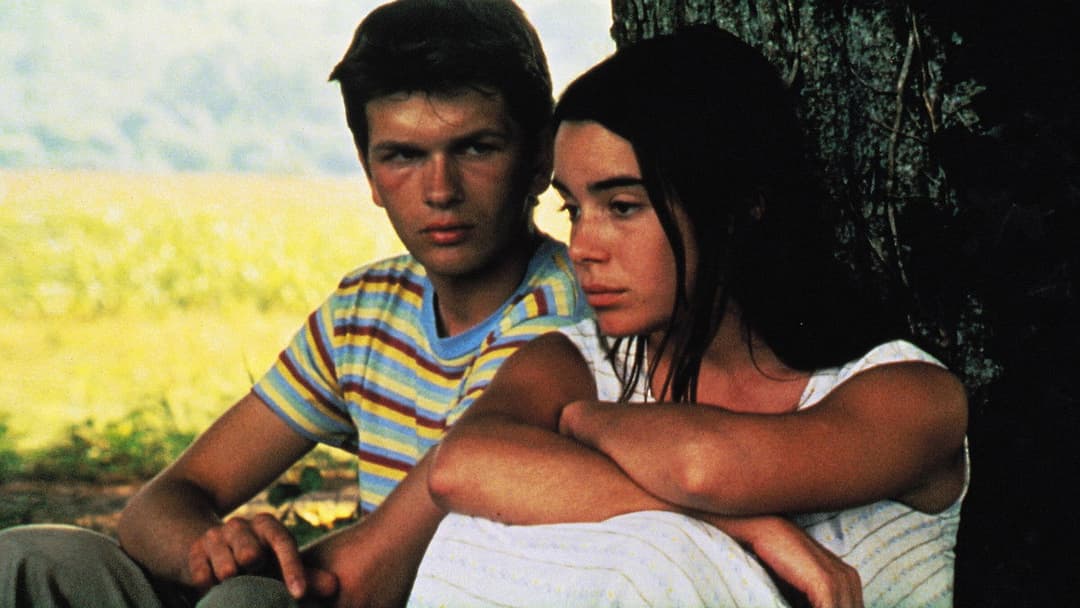 Les Roseaux sauvages backdrop 4