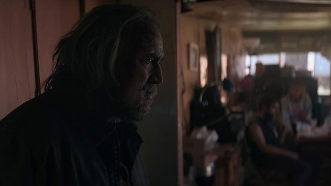 Свиня backdrop 14