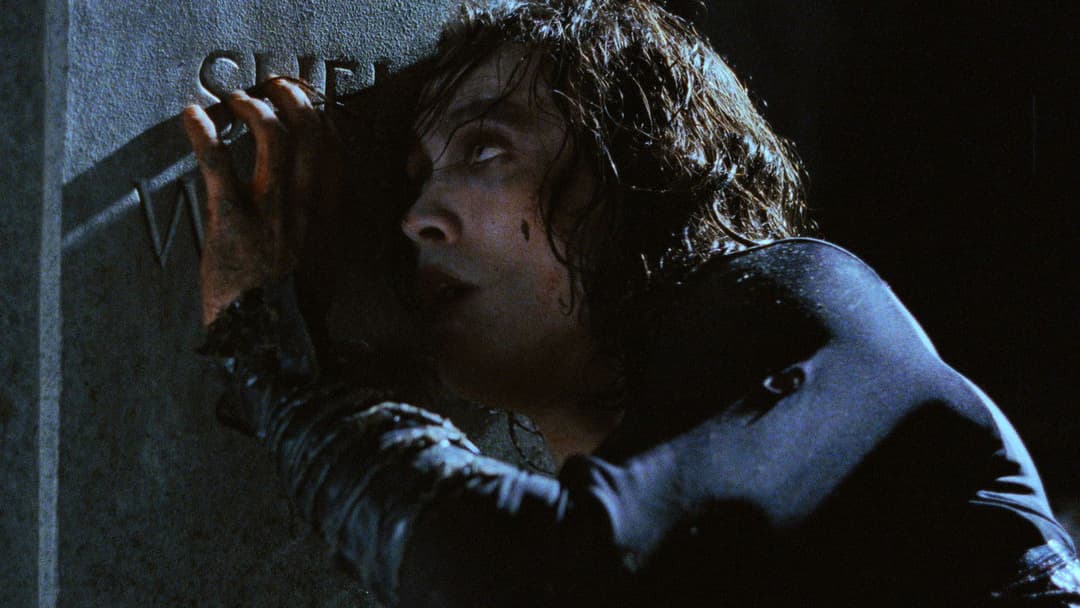 Ворон backdrop 13