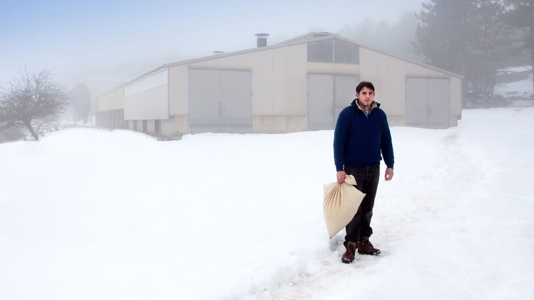 Die Verschwundene backdrop 8