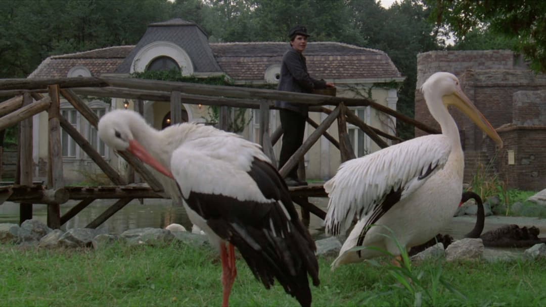 Андеґраунд backdrop 20