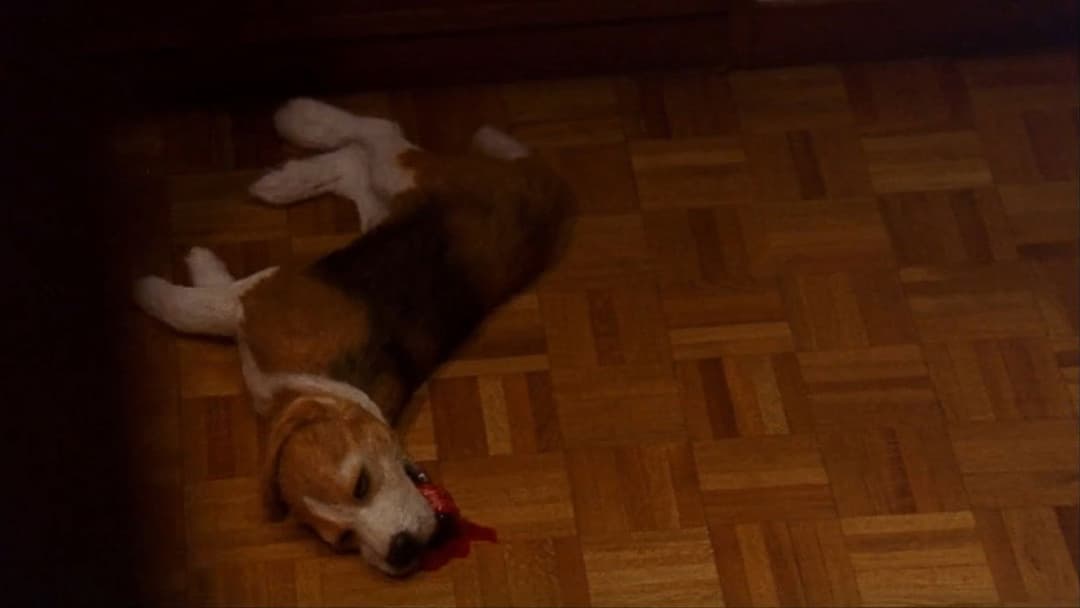 Кінопроба backdrop 15