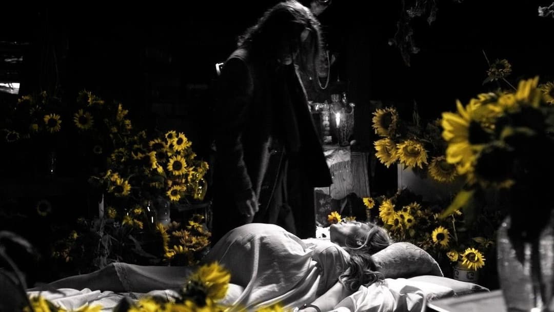 Прокляття Чакі backdrop 11