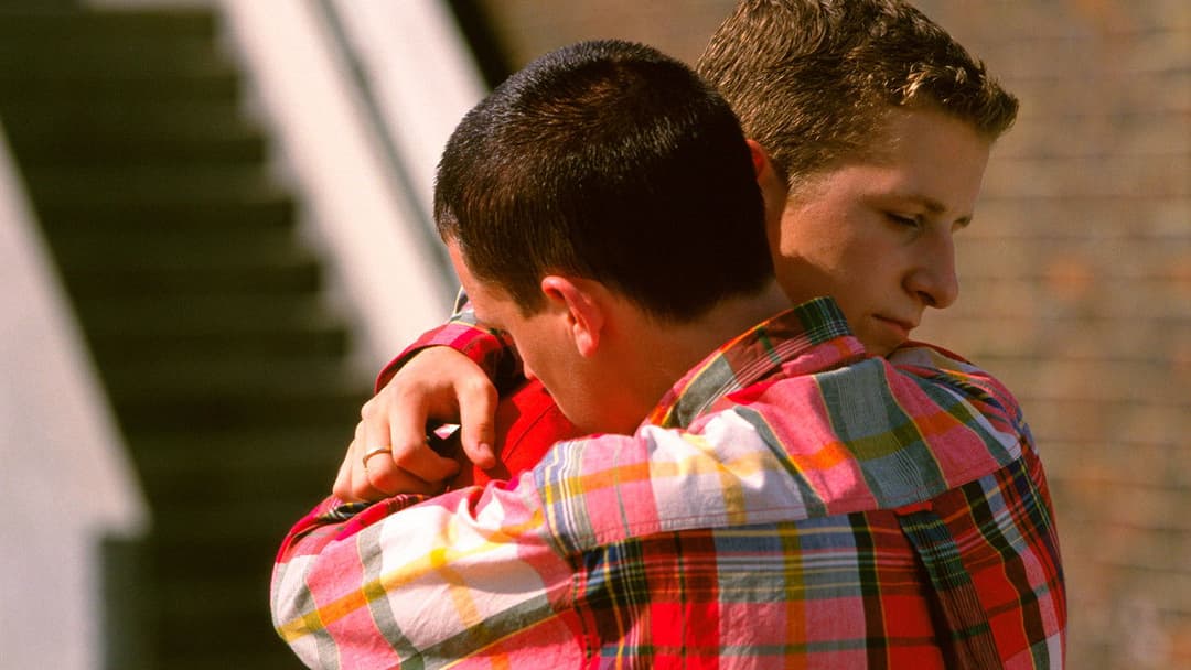 Краса backdrop 18