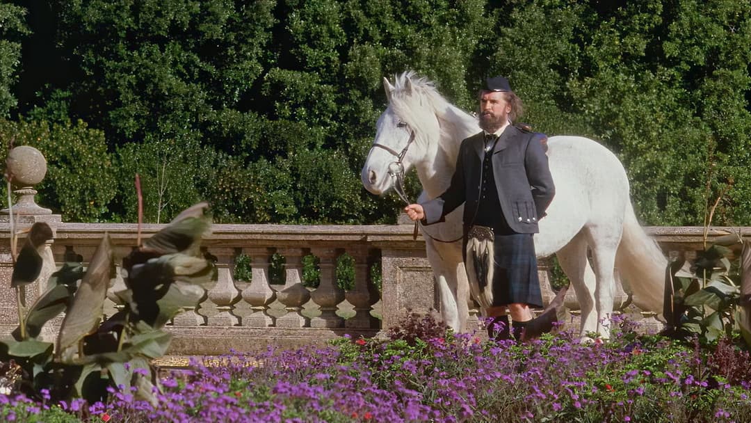 Місіс Браун backdrop 2