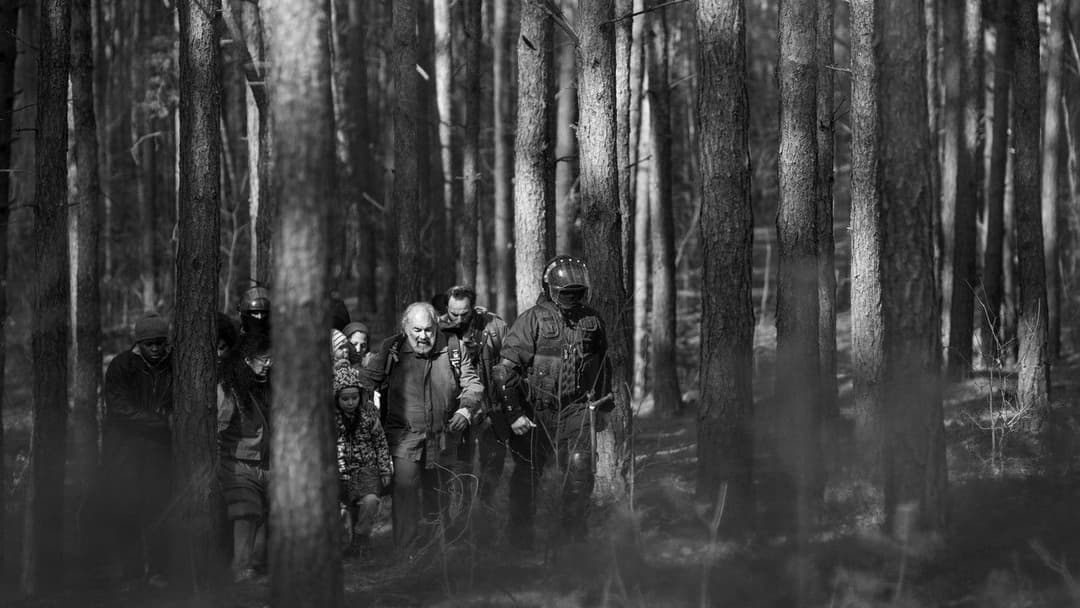 Green Border backdrop 5