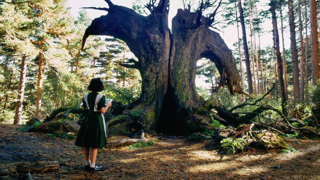 Лабіринт Фавна backdrop 9