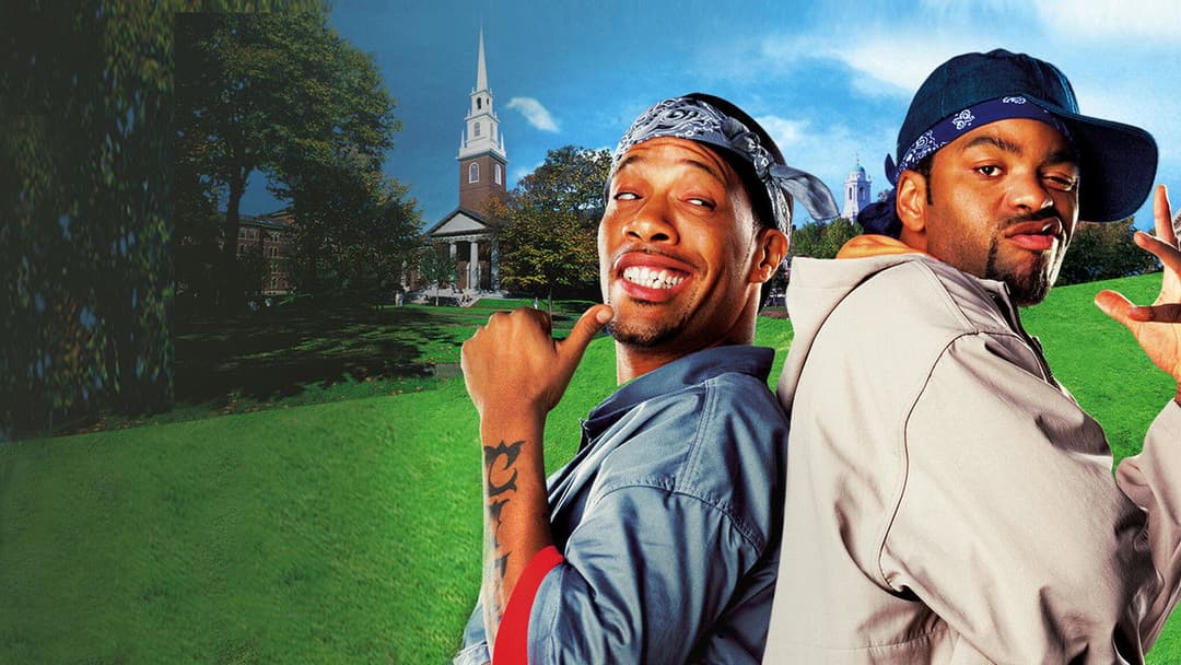 Накурені в дим backdrop 8