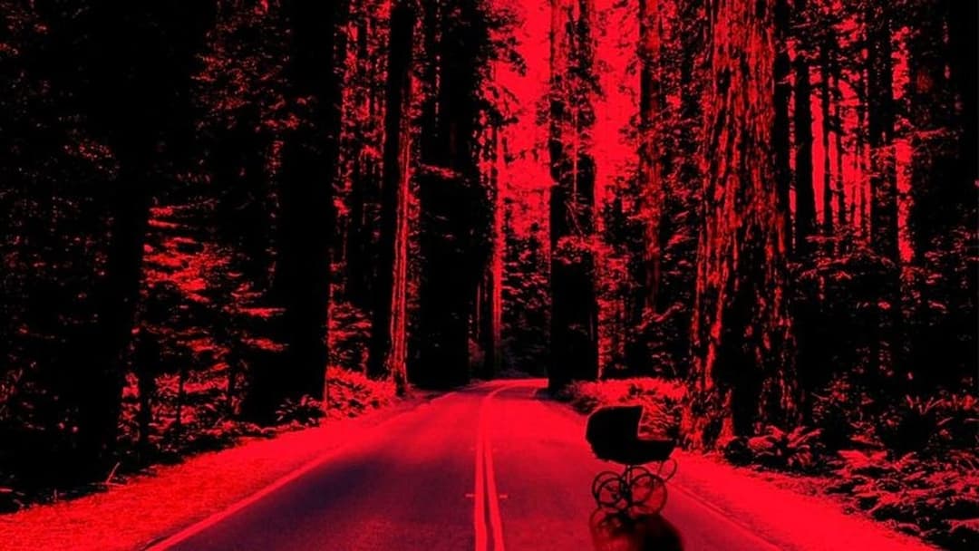 Глухий кут backdrop 5