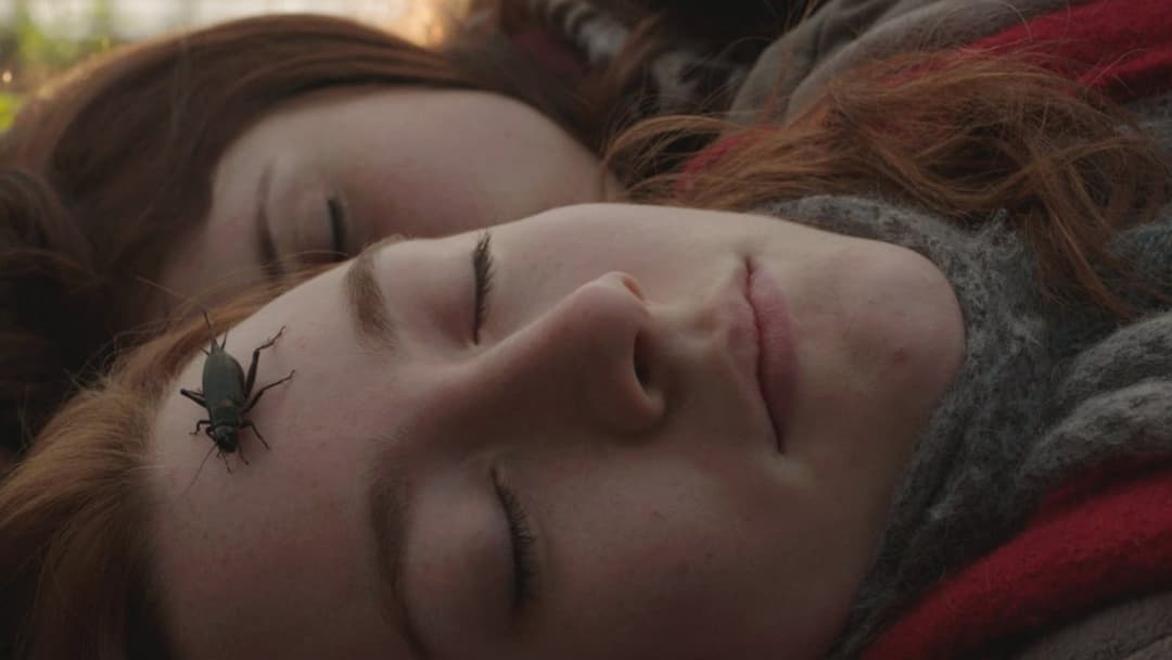 Візантія backdrop 14