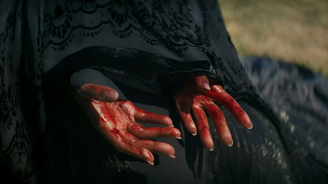 The Woman in the Yard backdrop 18