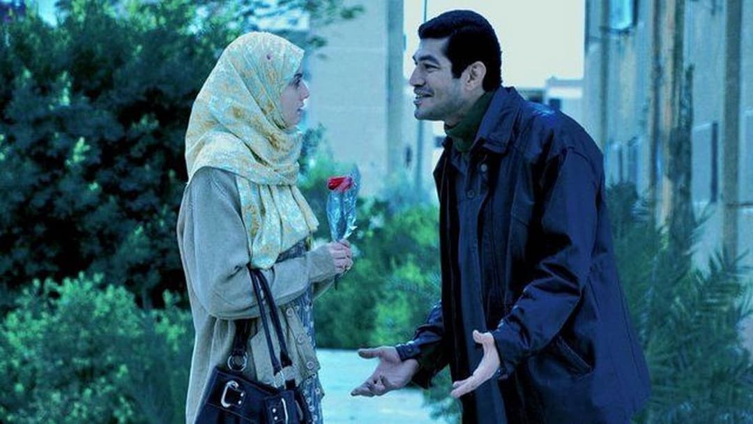 Cairo 6,7,8 backdrop 11