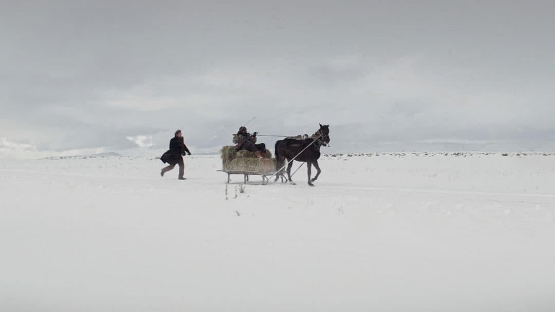 Про траву, що засихає backdrop 17
