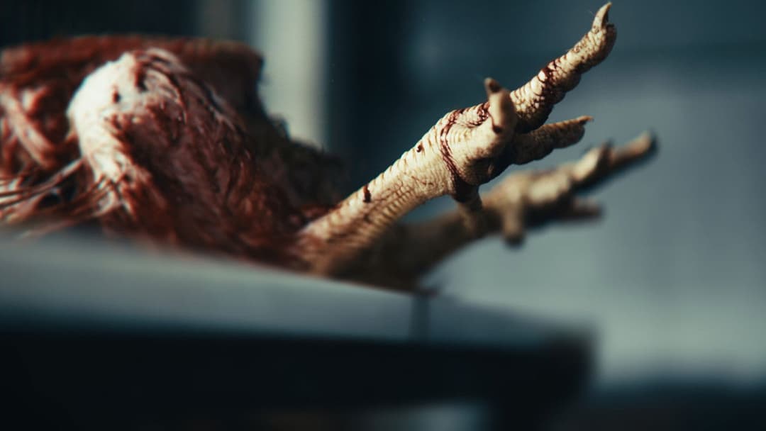 Chicken Curry backdrop 1