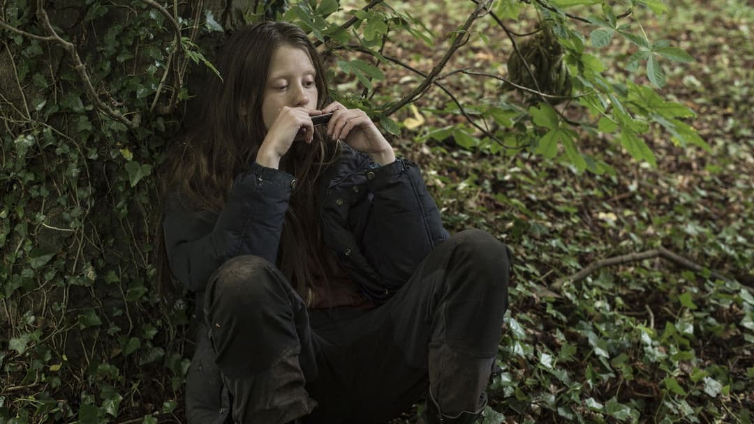 The Survivalist backdrop 15