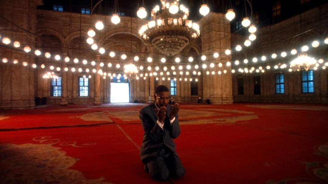 Malcolm X backdrop 4