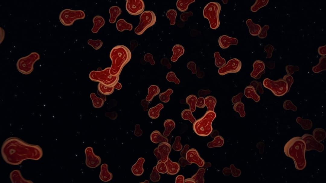 Madagascar backdrop 18