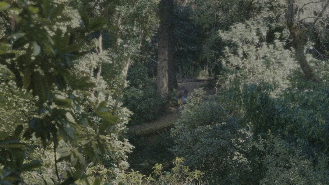 Одне ціле backdrop 19