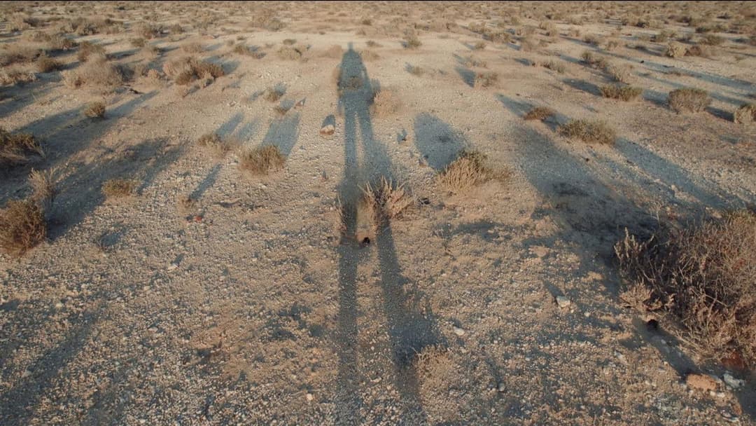 Бардо: Фальшиві хроніки жменьки правди backdrop 13